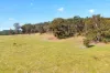 Maxfields Road, Flynns Creek, Vic 3844-Image