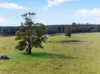 Maxfields Road, Flynns Creek, Vic 3844-Image