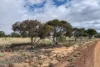 McGregor Road, Mukinbudin, WA 6479-Image