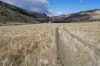 . McGuires Marsh Road, Osterley, Tas 7140-Image