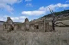 . McGuires Marsh Road, Osterley, Tas 7140-Image