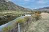. McGuires Marsh Road, Osterley, Tas 7140-Image