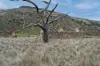. McGuires Marsh Road, Osterley, Tas 7140-Image