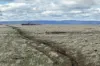 . McGuires Marsh Road, Osterley, Tas 7140-Image