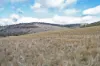. McGuires Marsh Road, Osterley, Tas 7140-Image