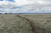. McGuires Marsh Road, Osterley, Tas 7140-Image