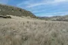 . McGuires Marsh Road, Osterley, Tas 7140-Image