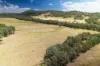 , Meadow Creek VIC 3678-Image