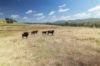 , Meadow Creek VIC 3678-Image