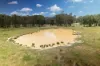 , Meadow Creek VIC 3678-Image