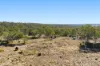 Meringandan Shirley Road, Meringandan West QLD 4352-Image
