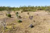 Meringandan Shirley Road, Meringandan West QLD 4352-Image