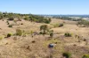Meringandan Shirley Road, Meringandan West QLD 4352-Image