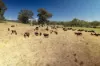 , Moyhu VIC 3732-Image
