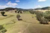 , Moyhu VIC 3732-Image