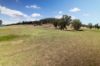 , Moyhu VIC 3732-Image