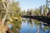 Namoi River Water Auction, Narrabri, NSW 2390-Image
