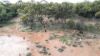 "Nardoo" Station/872 Davidson Road, Gunderbooka NSW 2840-Image