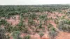 "Nardoo" Station/872 Davidson Road, Gunderbooka NSW 2840-Image