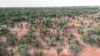 "Nardoo" Station/872 Davidson Road, Gunderbooka NSW 2840-Image