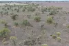 Narella Park & The Block, Walgett, NSW 2832-Image