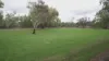 Narella Park & The Block, Walgett, NSW 2832-Image