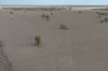 Narella Park & The Block, Walgett, NSW 2832-Image