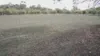 Narella Park & The Block, Walgett, NSW 2832-Image