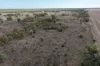Narella Park & The Block, Walgett, NSW 2832-Image