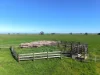 Nine Mile Creek Road, Koroit VIC 3282-Image