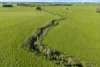 Nine Mile Creek Road, Koroit VIC 3282-Image