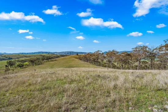 Off Goorangoola Road Greenlands, Singleton NSW 2330-Image