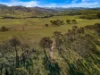 Off Goorangoola Road Greenlands, Singleton NSW 2330-Image