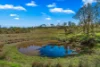 Off Goorangoola Road Greenlands, Singleton NSW 2330-Image