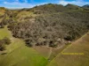 Off Goorangoola Road Greenlands, Singleton NSW 2330-Image