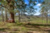 Off Goorangoola Road Greenlands, Singleton NSW 2330-Image
