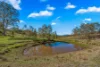 Off Goorangoola Road Greenlands, Singleton NSW 2330-Image