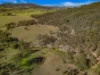 Off Goorangoola Road Greenlands, Singleton NSW 2330-Image
