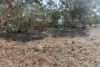 Old Boort Road, Woolshed Flat, Vic 3518