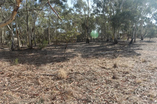 Old Boort Road, Woolshed Flat, Vic 3518