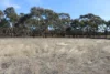 Old Boort Road, Woolshed Flat, Vic 3518-Image