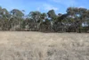 Old Boort Road, Woolshed Flat, Vic 3518-Image