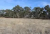 Old Boort Road, Woolshed Flat, Vic 3518-Image