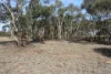 Old Boort Road, Woolshed Flat, Vic 3518-Image