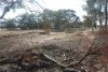 Old Boort Road, Woolshed Flat, Vic 3518-Image