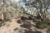 Old Boort Road, Woolshed Flat, Vic 3518-Image