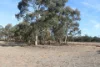 Old Boort Road, Woolshed Flat, Vic 3518-Image
