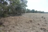 Old Boort Road, Woolshed Flat, Vic 3518-Image