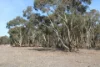 Old Boort Road, Woolshed Flat, Vic 3518-Image
