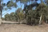 Old Boort Road, Woolshed Flat, Vic 3518-Image